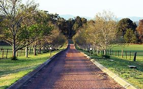Blueberry Hill Vineyard Stay